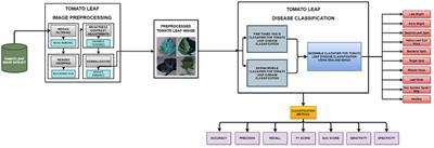 Improved tomato leaf disease classification through adaptive ensemble models with exponential moving average fusion and enhanced weighted gradient optimization